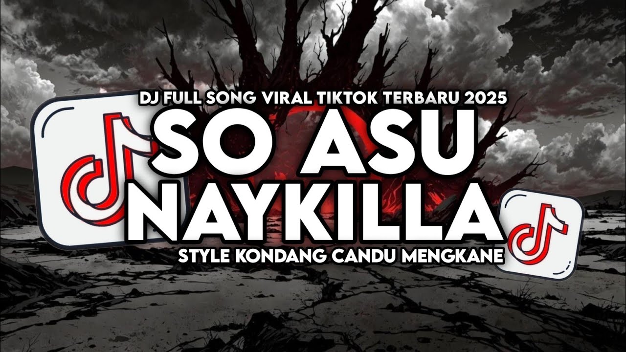 DJ SO ASU - NAYKILLA FULL SONG STYLE KONDANG CANDU MENGKANE VIRAL TIKTOK TERBARU 2025