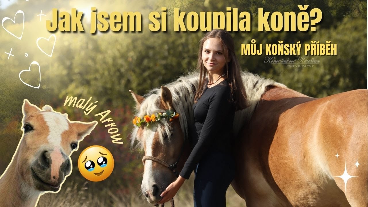 Jak jsem si koupila koně? | Můj koňský příběh | 5. ČÁST