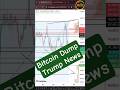 Bitcoin Chart Analysis 🔥 Trump’s Oct 19, 2025 Announcement &amp; Market Reaction