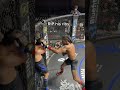 Ripping body shots #mma #bodyshots #knockout #combatsports