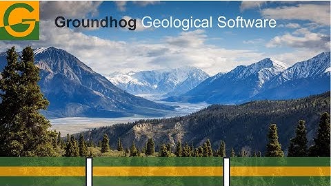 Community vs Professional