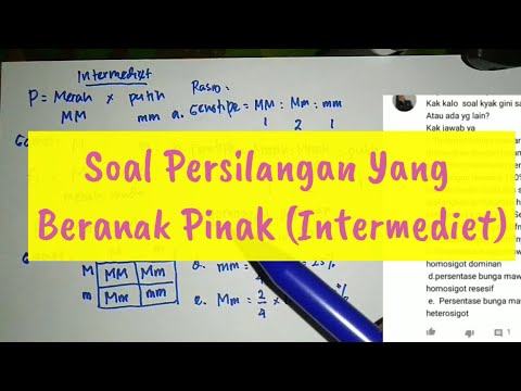 Soal Persilangan yang beranak pinak