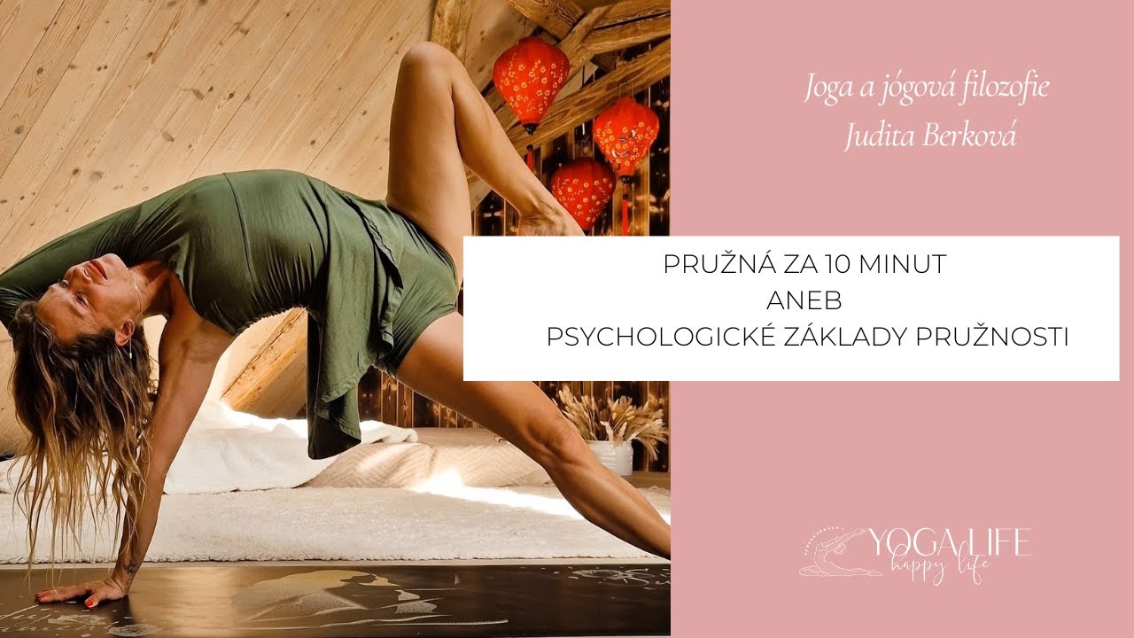 Pružná za 10 minut aneb psychologické základy pružnosti - Judita Berková