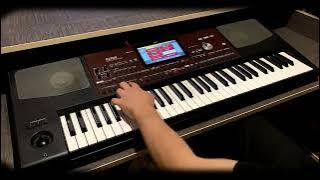 Korg Pa700 - Leventiko
