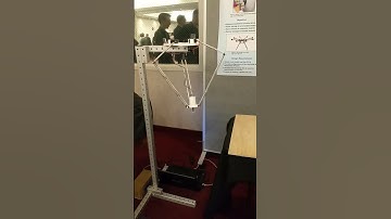 Delta Arm Capstone Project