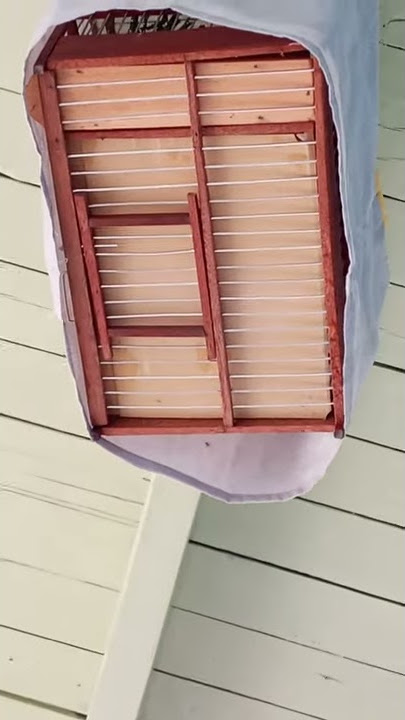 Clean weet weet fire red bird