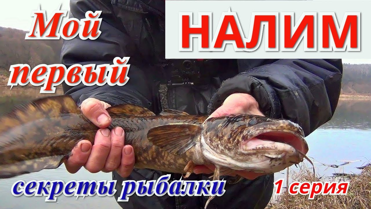 Ибердус рыбалка ока