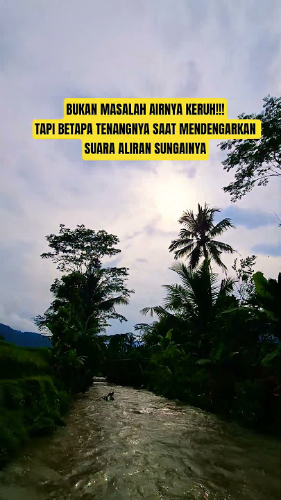 Relaxing Suara Air💧Sungai Mengalir Untuk Menenangkan Jiwa dan Pikiran | Menghilangkan Rasa Stress