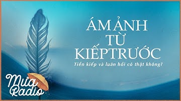 ÁM ẢNH TỪ KIẾP TRƯỚC (DỊCH: THÍCH TÂM QUANG) | BRIAN L. WEISS  | MƯA RADIO