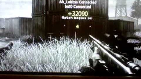 Ah_Lobbys Private Patch V1 CoD4