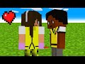 NOVELAS FAMOSAS NO MINECRAFT