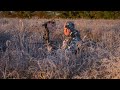 What You Need to Start Bowhunting