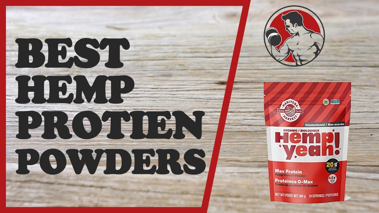 Best hemp protein powder
