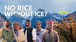 The Himalayan Snow Crisis is Killing a Sacred Red Rice