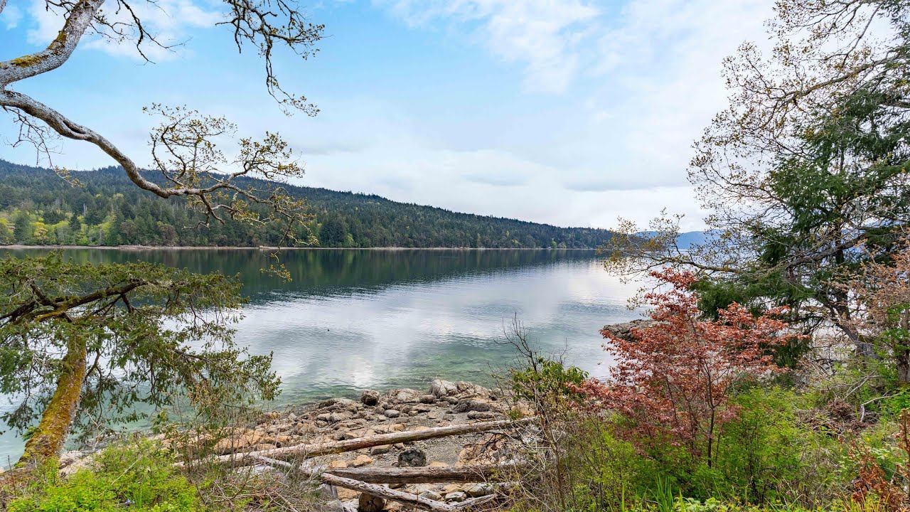 673 Ardmore Dr, Saanich, BC. Alex Burns RE/MAX Generation.