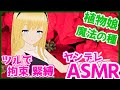 【ヤンデレASMR】ヤンデレ植物娘のツルに縛られて【男性向けシチュエーションボイス/Binaural,Whispering】