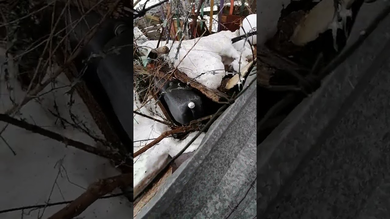 +901р. Дмитрий Александрович П. СПАСИБО!!! на Сбербанк 2202203654418625 Елена К. 11 февраля 2026г.