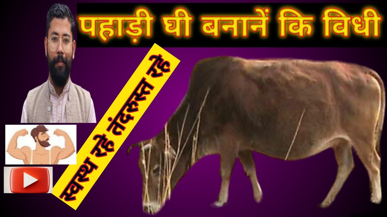 Pahadi Ghee kaise Banta ha ytshorts dubai YouTube