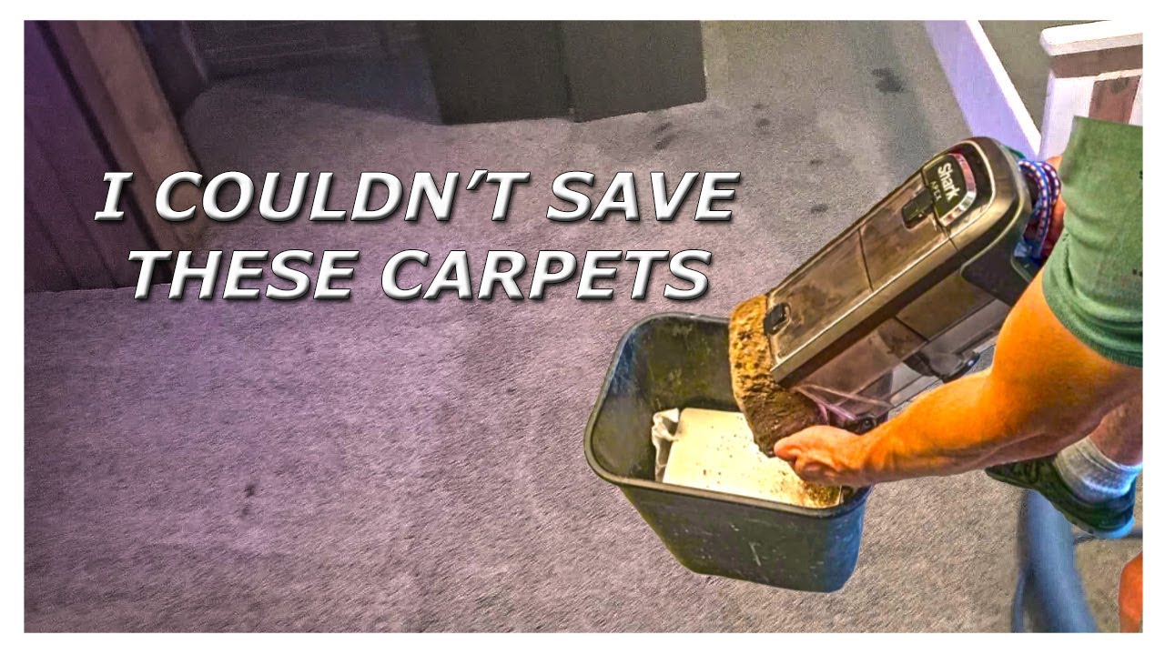 I Couldnt Save These Carpets YouTube