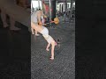 Backflip #fitness #fitnessmotivation