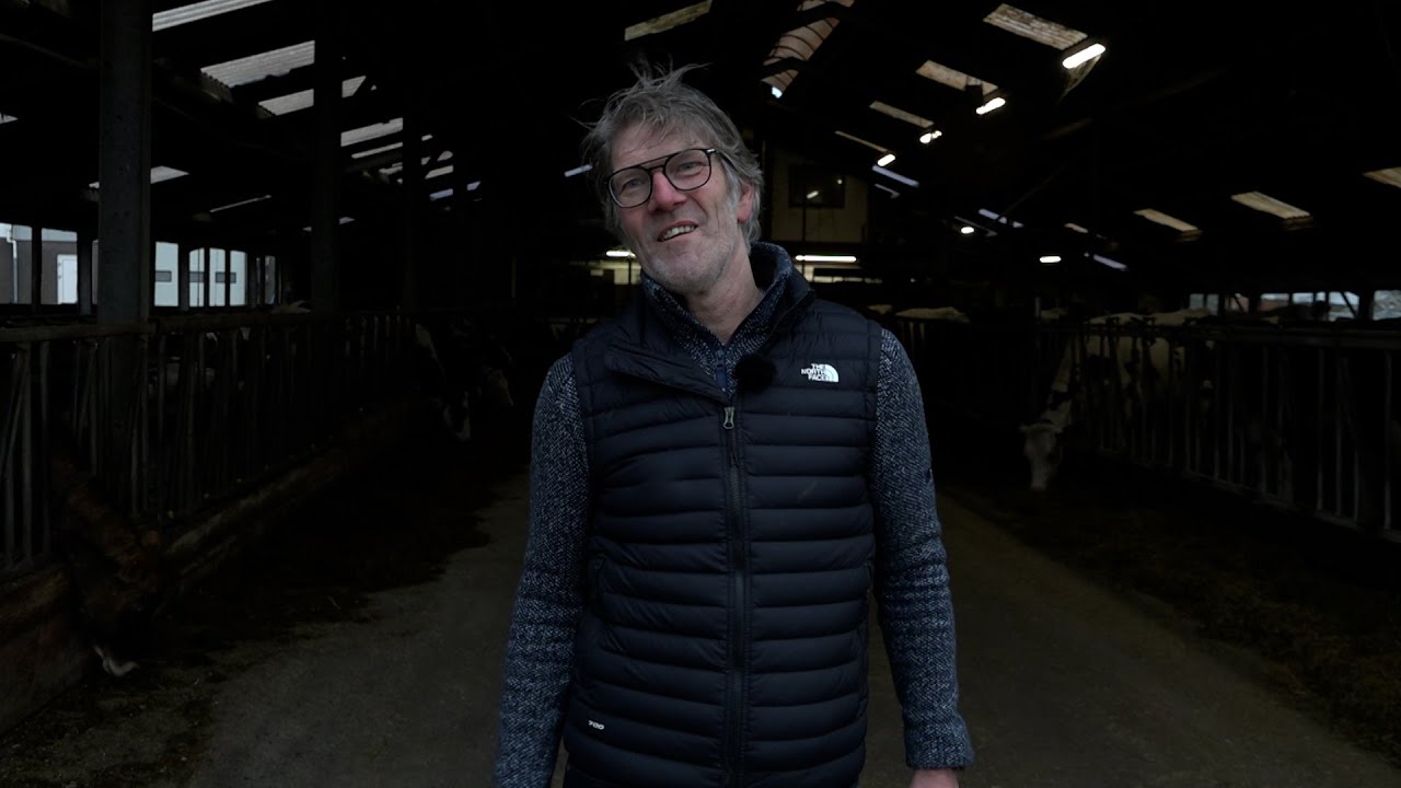 Voerspecialist: laat de koe het geld verdienen