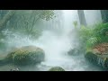 Fall into Deep Sleep with Heavy Rain &amp; Gentle Breeze in Nature | ASMR Forest Rain Sound