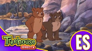 Little Bear: La Pelicula (Christmas Special)