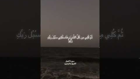 ما تيسر من سورة النحل الشيخ حاتم فريد 