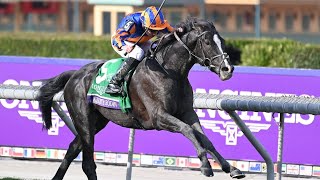 AUGUSTE RODIN wins the Breeders' Cup Turf. A special horse & special ride from Ryan Moore