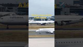 Lufthansa Airbus A340-300 flight landing 🛬 #lufthansa #airbusa340 #lufthansaairlines #airbus