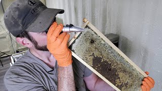 Prevent Fermented Honey  Drying & Extracting