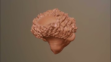 Nomad Sculpt - Old Dude 3D Print