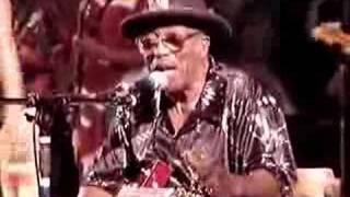 Bo Diddley - Crackin Up - Gainesville 6-17-06