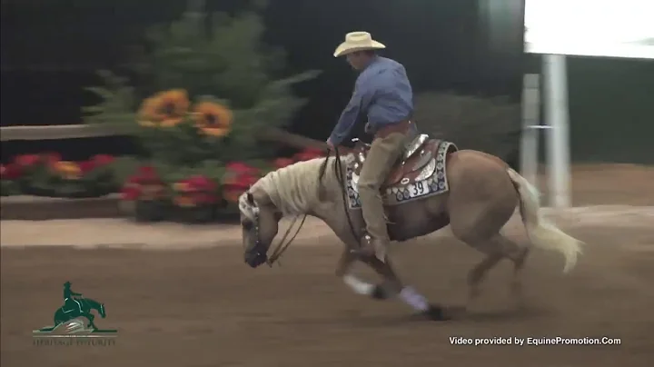 CHEXOLUTION ridden by TODD SOMMERS - 2013 Heritage...