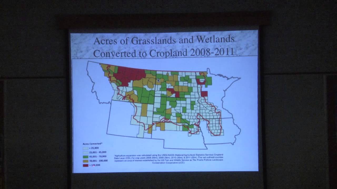 Recent Assaults on the Prairie:  History Repeating?