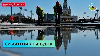 Известные люди участвуют в субботнике на ВДНХ