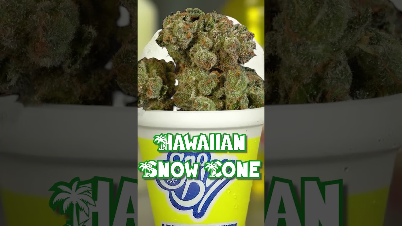 Check Out the new Hawaiian Snowcone Highlight!!! #stabilitycannabis #stability.cannabis