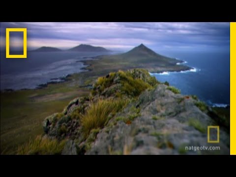 Struggling to Mate | Great Migrations