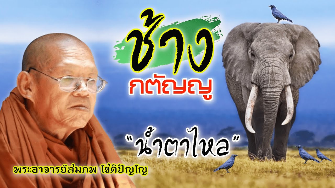 Ep.67 ช้างกตัญญู โดยพระอาจารย์สมภพ โชติปัญโญ