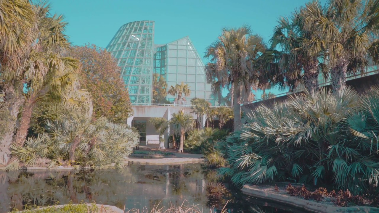 San Antonio Botanical Garden 2018 Youtube