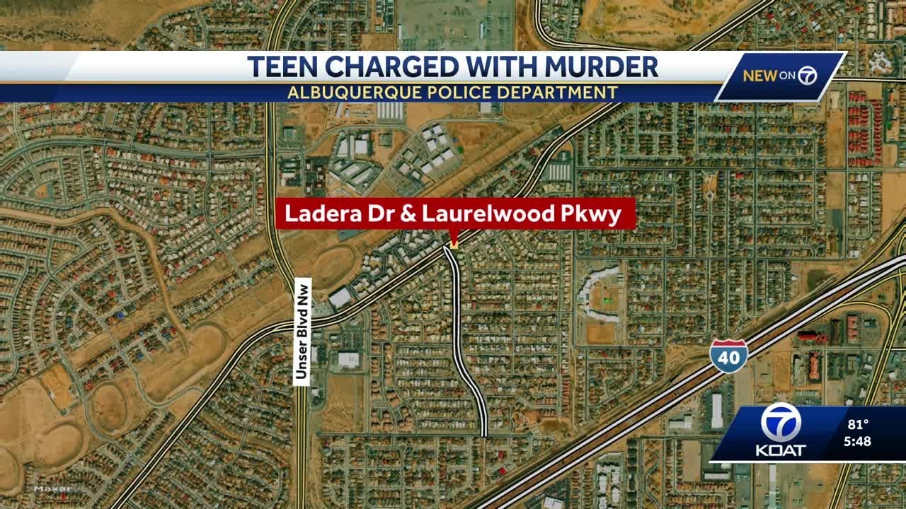 Teen charged with murder - YouTube