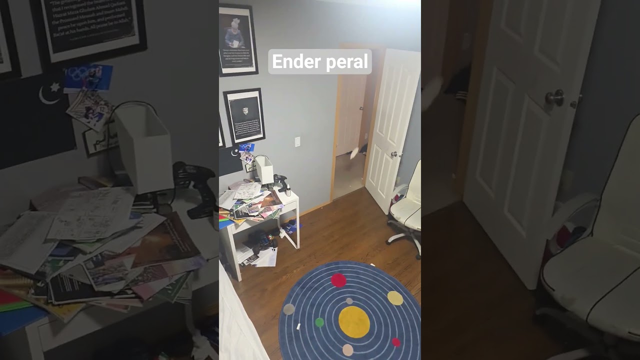 Minecraft Ender Peral