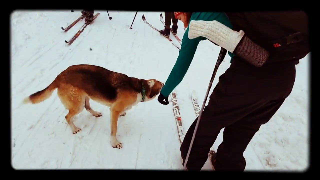 New Hampshire Endurance Snow Adventure