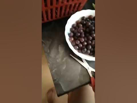 Кружовник - YouTube
