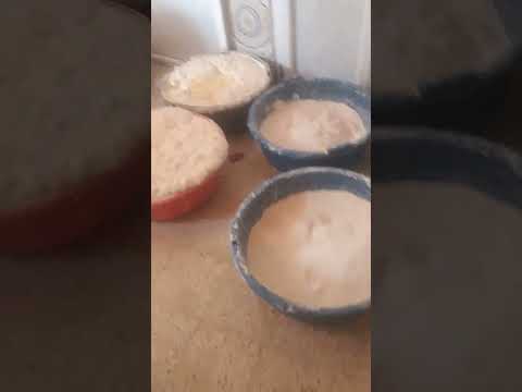 مطلوع مغنية حي شهداء مرحبا بي الجميع 