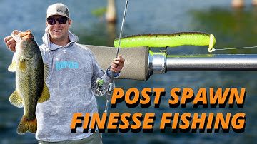 How Patrick Walters Finesse Fishes in the Post Spawn