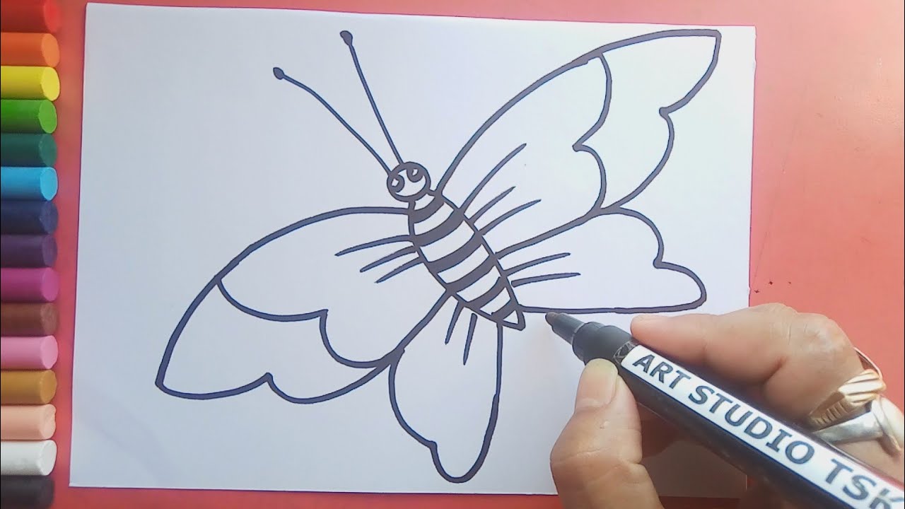 Easy and simple Butterfly drawing - YouTube