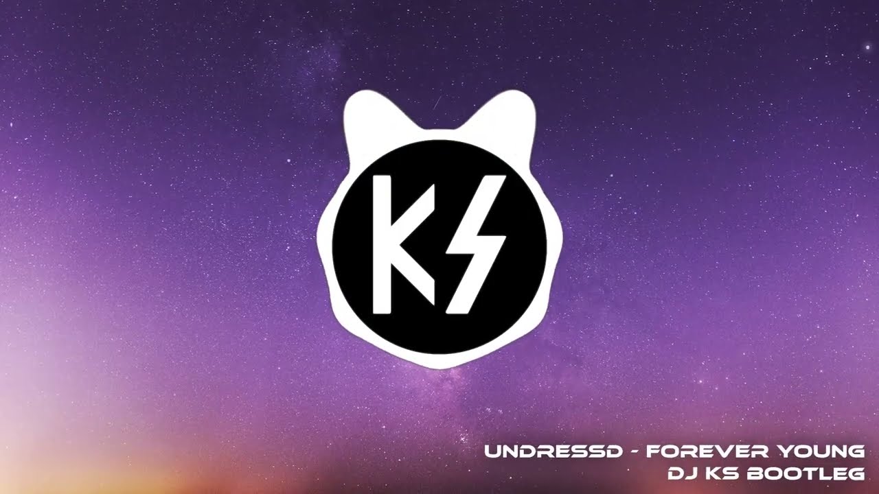 UNDRESSD - Forever Young (DJ KS Bootleg)