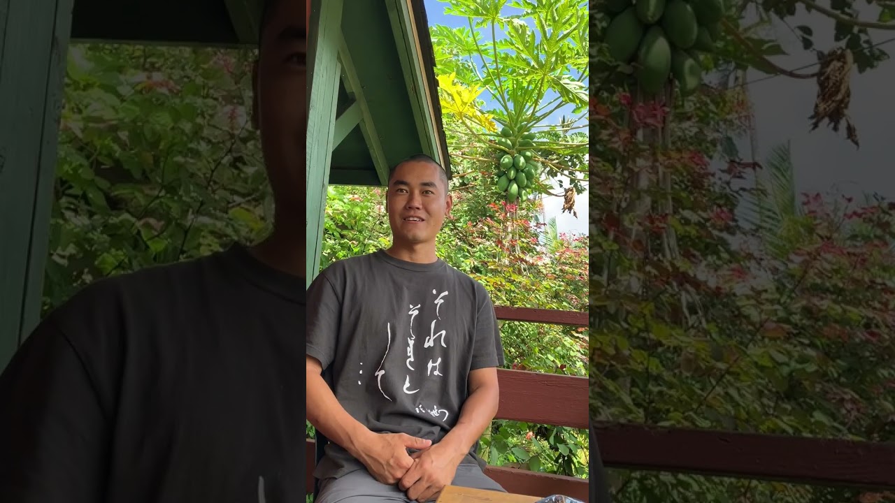 Leave it as it is - Detachment - Daisetz Suzuki