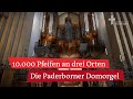 Domorgel im Paderborner Dom: Blick hinter die Kulissen der drittgrößten Orgel Deutschlands